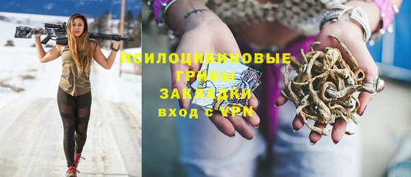 spice Алзамай